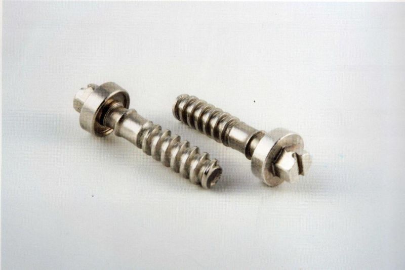 Stainless Steel Slot Head Clamp Screw