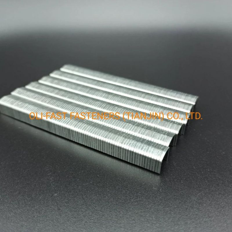 20ga Stcr5019 Industrial Staples Factory Manufactured 1/4" Staples