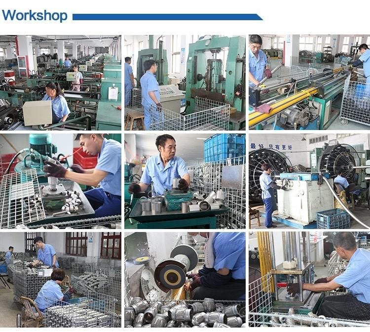 Flexible Expansion Bellow Used for Exhaust System on Light Vehicle, Passenger Car, Truck, Motorcycles