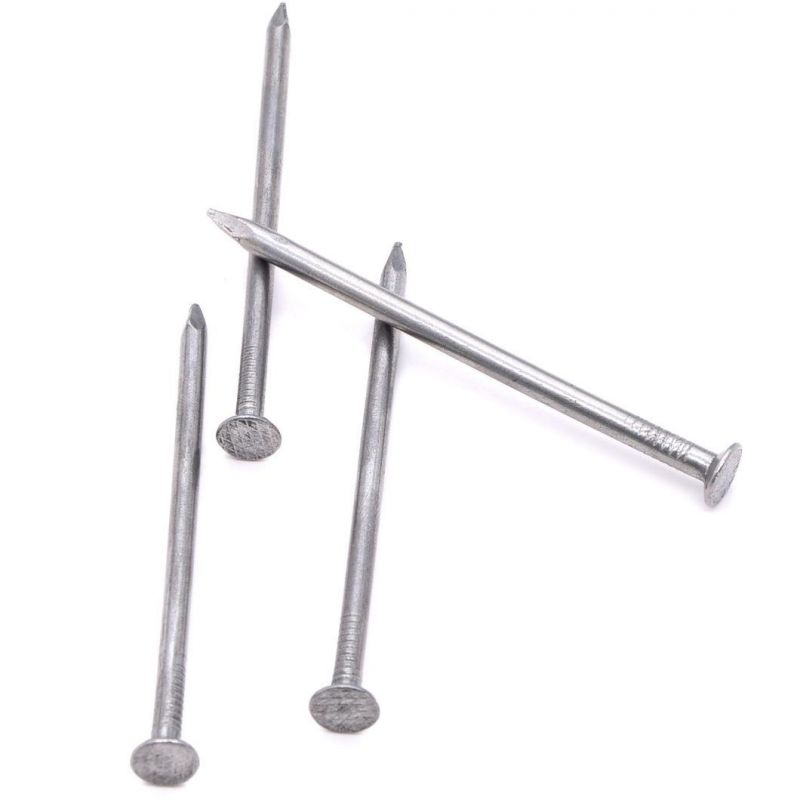 Q195 Common Wire Rod Nails Polished Common Nail