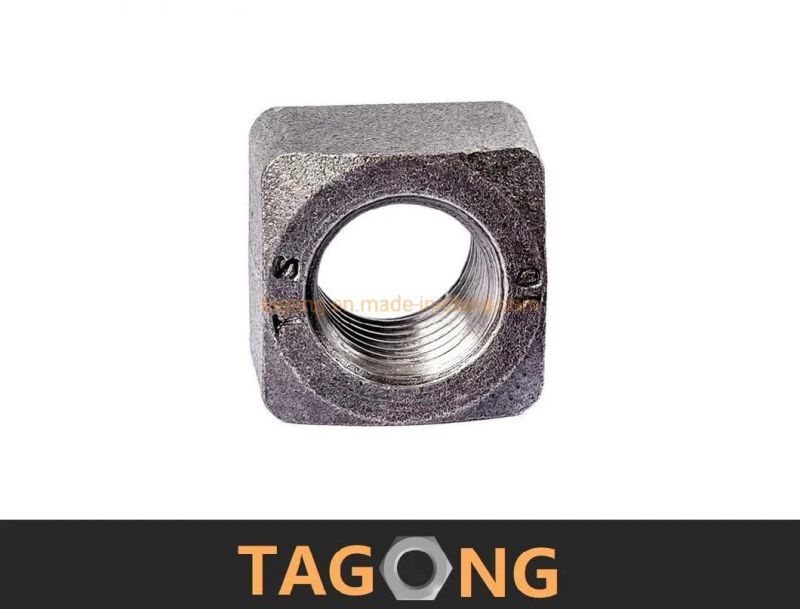 Carbon Class12 6h M20 Square Nuts Truck Nuts