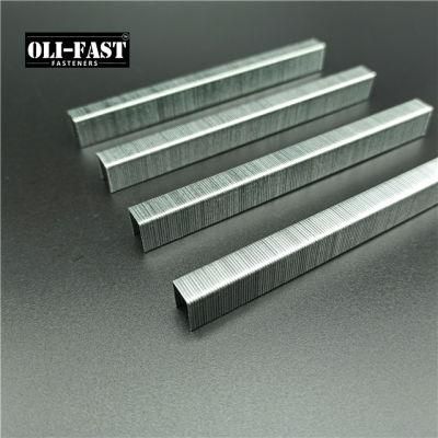 22ga Galvanized 71/12 Upholstery Staples with High Quality