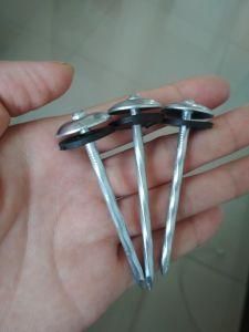 Roofing Nail with Washer