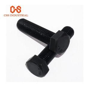 8.8 Grade Hex Bolt Nut Stainless Steel Different Types of Bolts and Nuts