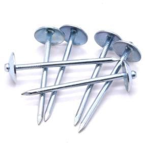 Bwg 12*2.5&quot; Galvanized Smooth and Twist Shank Roofing Nails