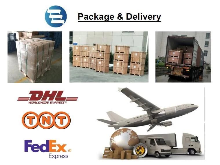 Degree Weld Tri Calmp Sanitary Stainless Steel Elbow with Good Prices