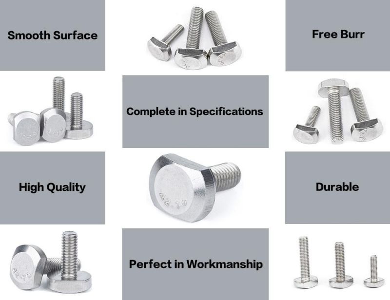 Stainless Steel Hex Bolt 304 T Bolt A2 A4 Square Head Bolt 8.8 Galvanized Carriage Bolt Gr5 Gr8 Hex Flange Bolt/Anchor Bolt/Hex Socket Cap Bolt Hammer Bolt