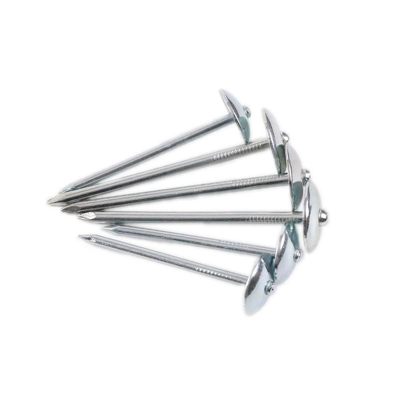 Wholesale Best Price Galvanized Umbrella Head Roofing Nails Umbrella Roofing Nail
