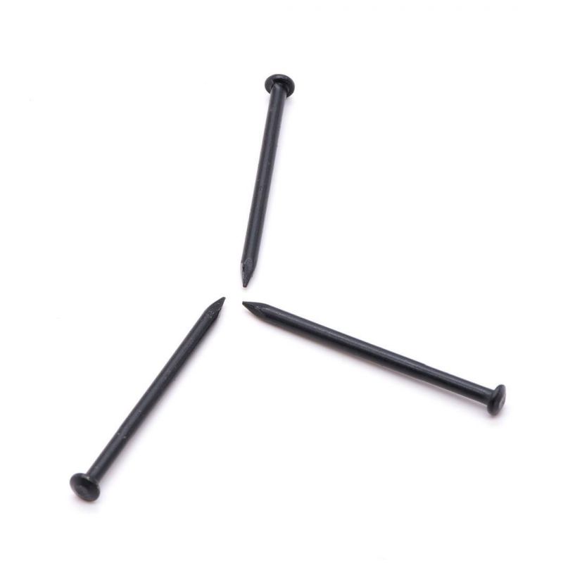 Construction Steel Big Size Nails Concrete Nail Sizes 25 mm