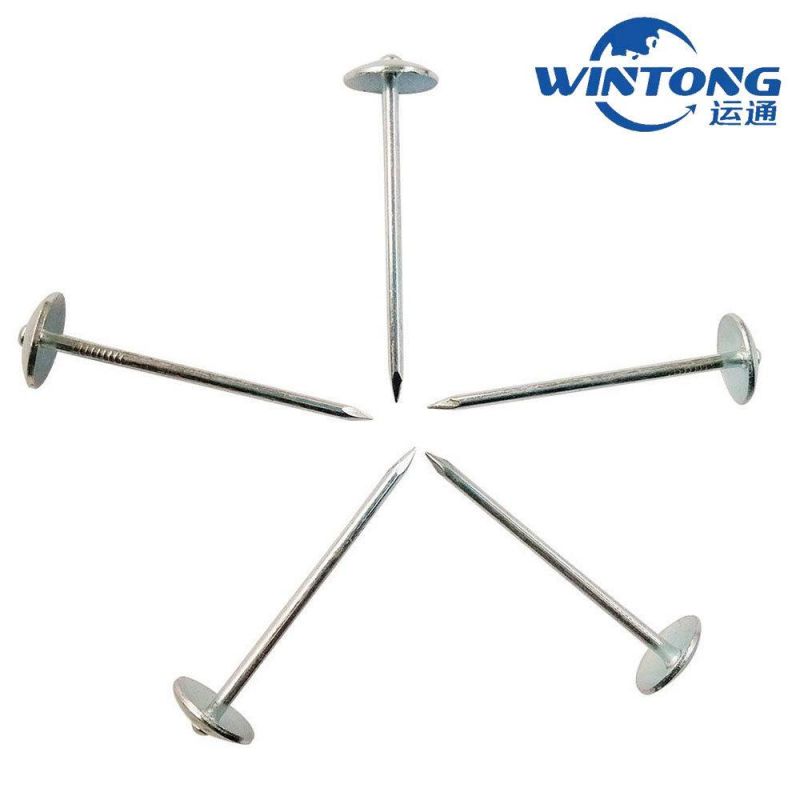 Roofing Nail Manufacturer, 2.5 mm Roofing Nail, Galvanized Roofing Nails