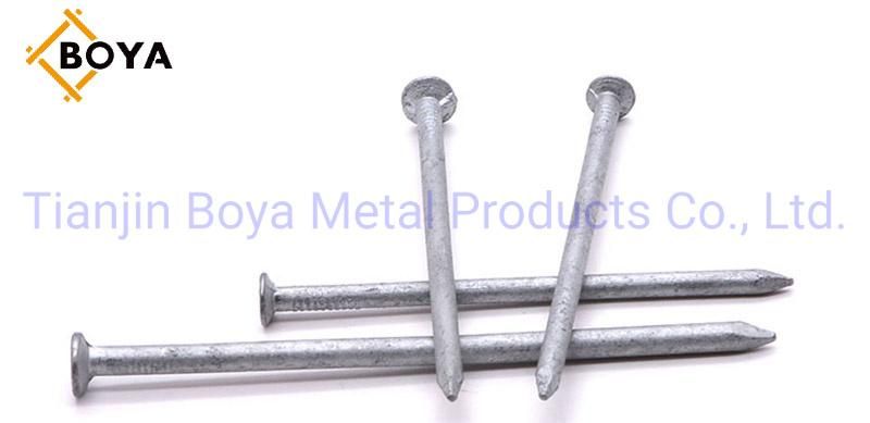 Bright Common Wire Nails/Polished Nail/Galvanized Nail/Building Nail/Iron Nail/Hardware