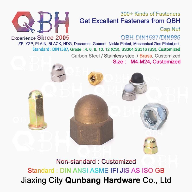 Qbh CS Ss DIN 986 Non-Metallic Nylon Insert Cap Nuts