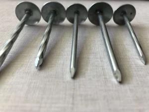 Zinc Plated Umbrella Head Smooth Shank Twist Shank Roofing Nail for Africa Market