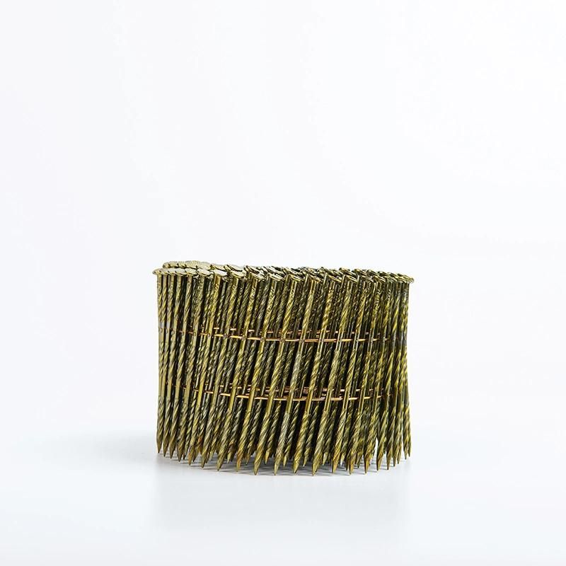Coil Nails Producer High Quality Low Price for Furniture Fence and Pallet