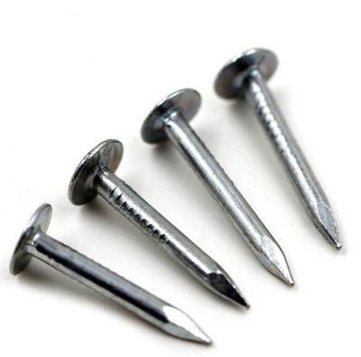 Bright Galvanized Clout Nail for Roofing Sheet Construction