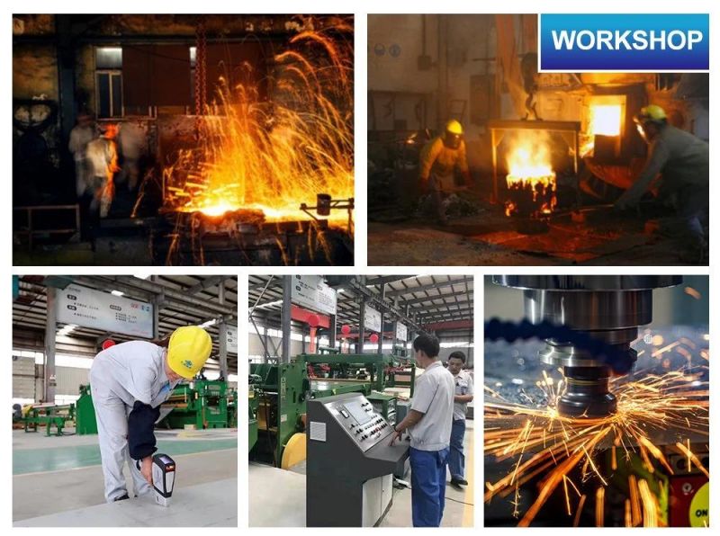 S235jr S275jr A105ring Steel Plate /ASME B16.5 Welding Forged Weld Neck Carbon/F316L 31803 32750 Stainless Steel Flange Weld Neck/Plate Flange/Blind Flange