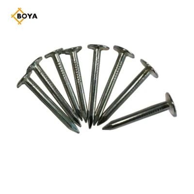 Clout Nails Clout Nails 20 X 2.8mm Galvanised Clout Nails