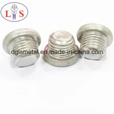 High Quality Stainless Steel Pan Head Trox Bolt