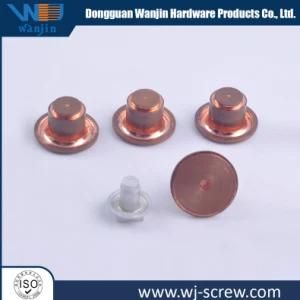 Brass Screw for Battery Pole