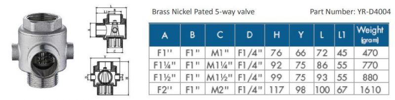 Five Way Connection/5 Way Check Valve in Brass, Nickel Plated