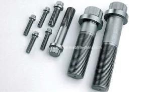 Dodecagon Flange Bolts (ASTM A193 B16 /42CrMo)