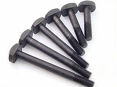 Stainless Steel T Head Bolt with Square Neck DIN 186