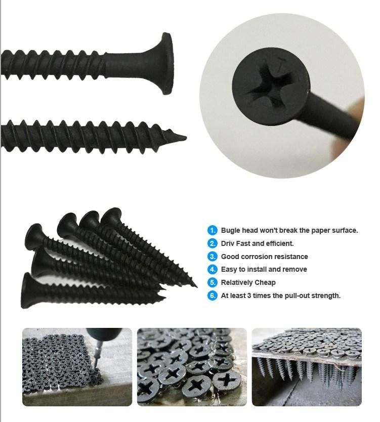 Factory Bugle Head Phillips Drive Drywall Screw