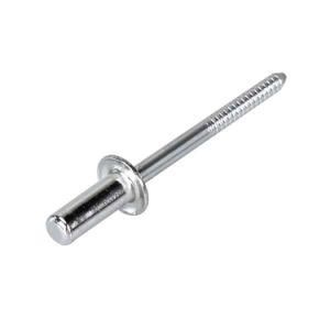 High Quality Countersunk Head Rivet