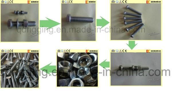 High Quality Hex Bolt Made by Xinlonghengda