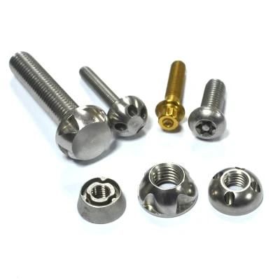 Stainless Steel Secure Anti-Theft Bolt and Nut for Outside LED