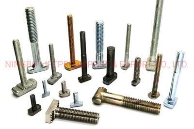 Customzed OEM T Bolt Stainless Steel 304 316 Carbon Steel with Zinc Plated
