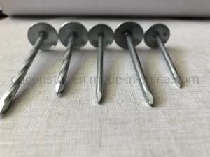Good Performance Galvanized Asbestos Roofing Nails Price