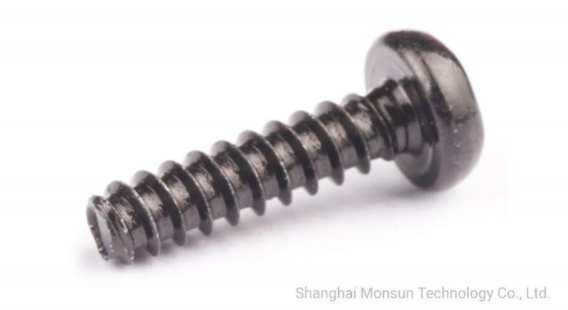 Pan Head Star Drive Type B Point Self Tapping Plastic Screw