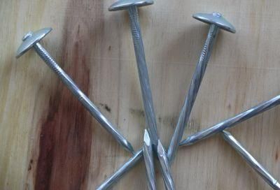 Smooth Shank 9bwg X 2.5inch Roofing Nails/Umbrella Head Nails Selling to All The World