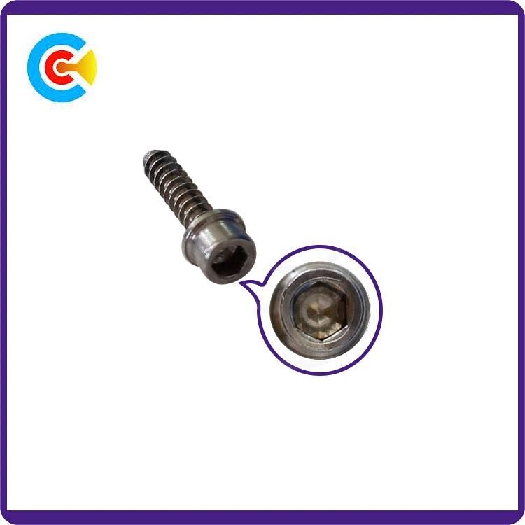 DIN/ANSI/BS/JIS Carbon-Steel/Stainless-Steel Hexagon Socket Cap Head Self Tapping Screws