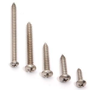 Pan Head Self Tapping Screw (DIN7981)