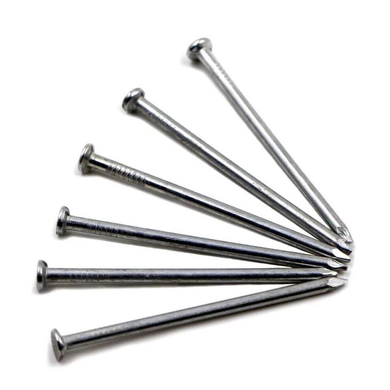 Polished Common Carpenter Iron Nail for Wood