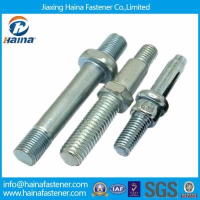 Customized Non-Standard Fastener Bolt (special bolt)