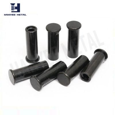 OEM Fasteners 4.8 6.8 8.8 10.9 12.9 Black Color Hollow Rivet