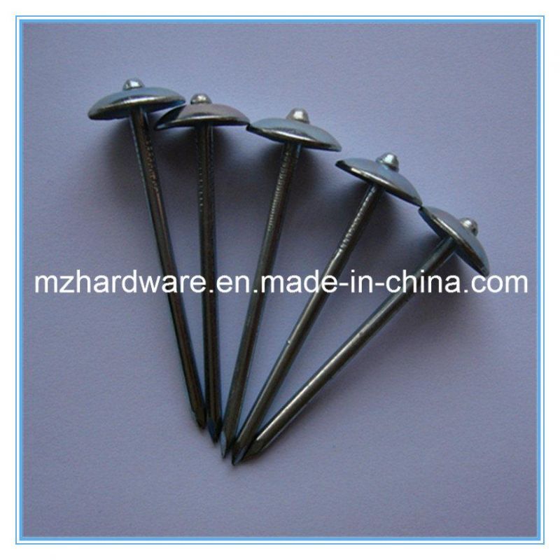 Umbrella Head Nail Galvanized Roofing Nail for Tanzania