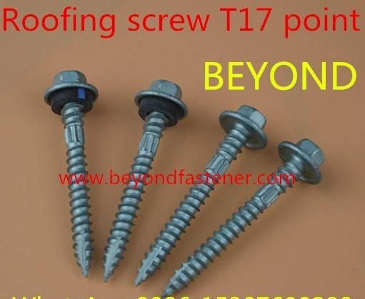 Self Drilling Screw/ Self Tapping Screw /Bolts/Fastener
