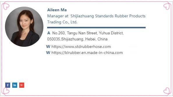 24 Degree Cone O-Ring H. T. Hydraulic Hose Fitting