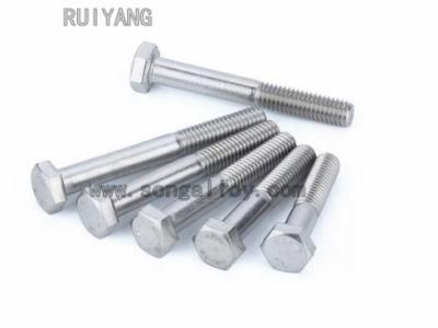 Stainless Steel Hexagon Head Screw / Bolt / Nut / Connector