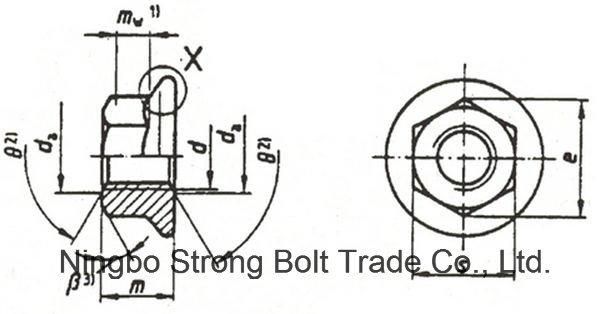 DIN6923 Hex Flange Nut