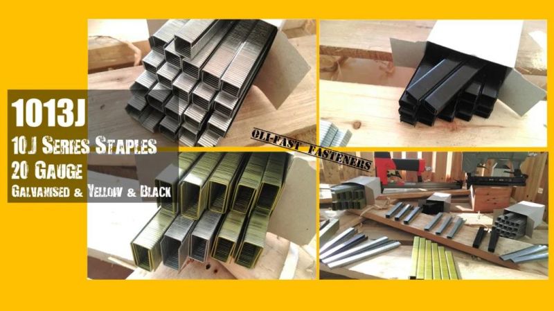 20ga 10j Series Staples Factory Manufacture with High Quality 1013j