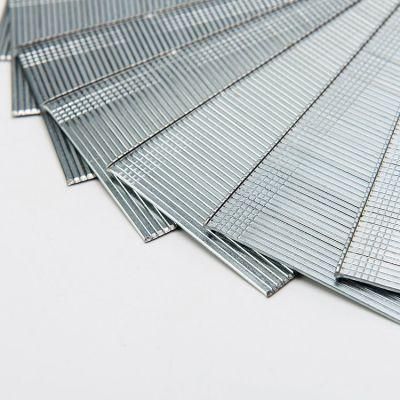 High Quality N Staples Series (16GA) , N13, N15, N17, N19, N21 From China Dezhou