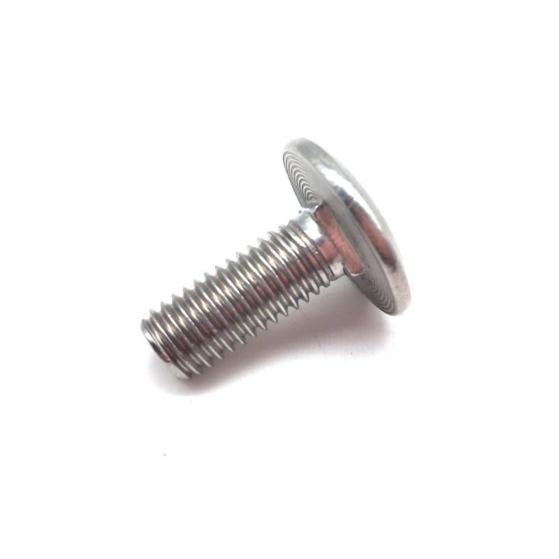 Stainless Steel 304 316 Short Square Neck Carriage Bolts 18-8