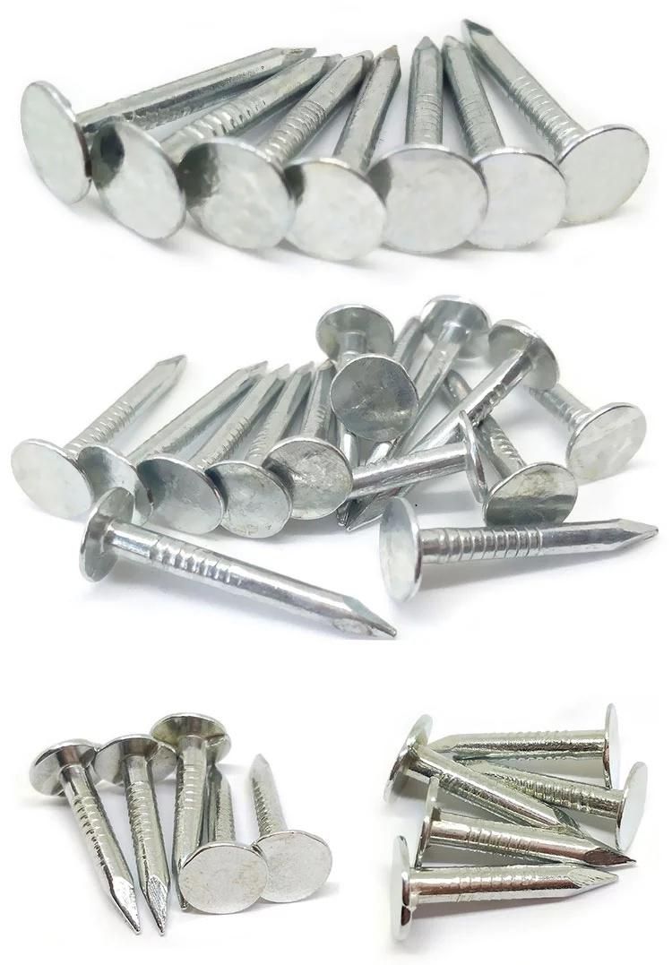 Good Quality Ans Hot Sale for The Roofing Nails