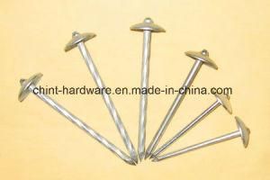 High-Quality Umbrella Head Roofing Nails Chinese Supplier