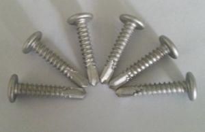 Phillips Wafer Head Self Drilling Screw (Fixed Bearing)
